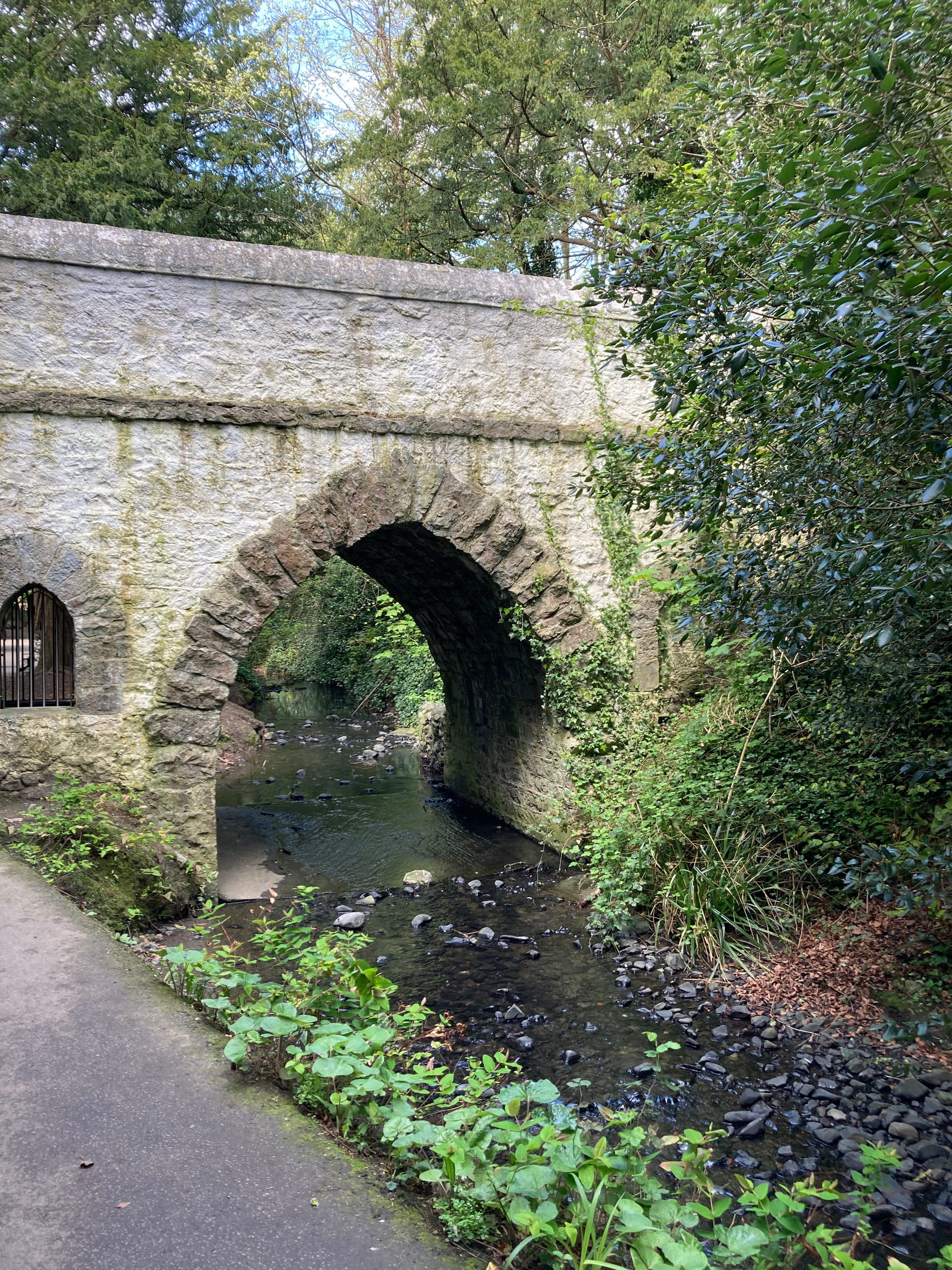 Naniken River Dublin