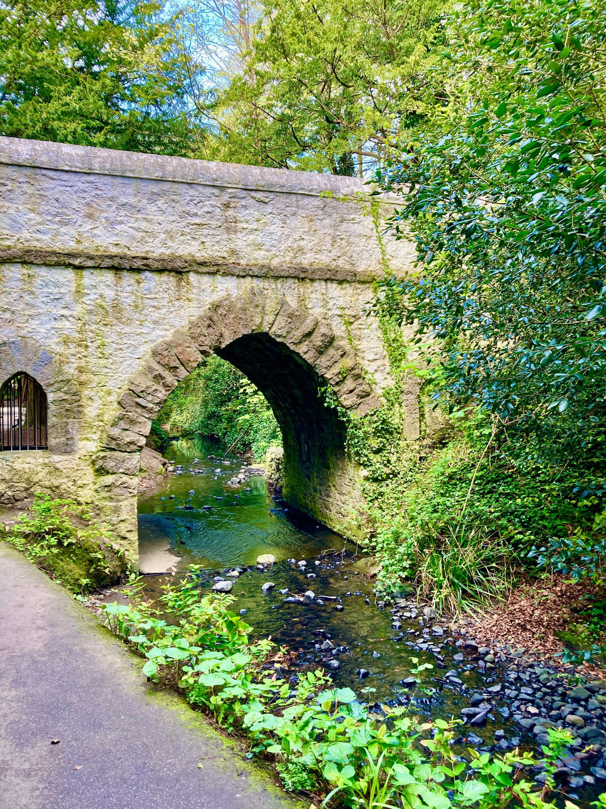 St Anne's Park Dublin River