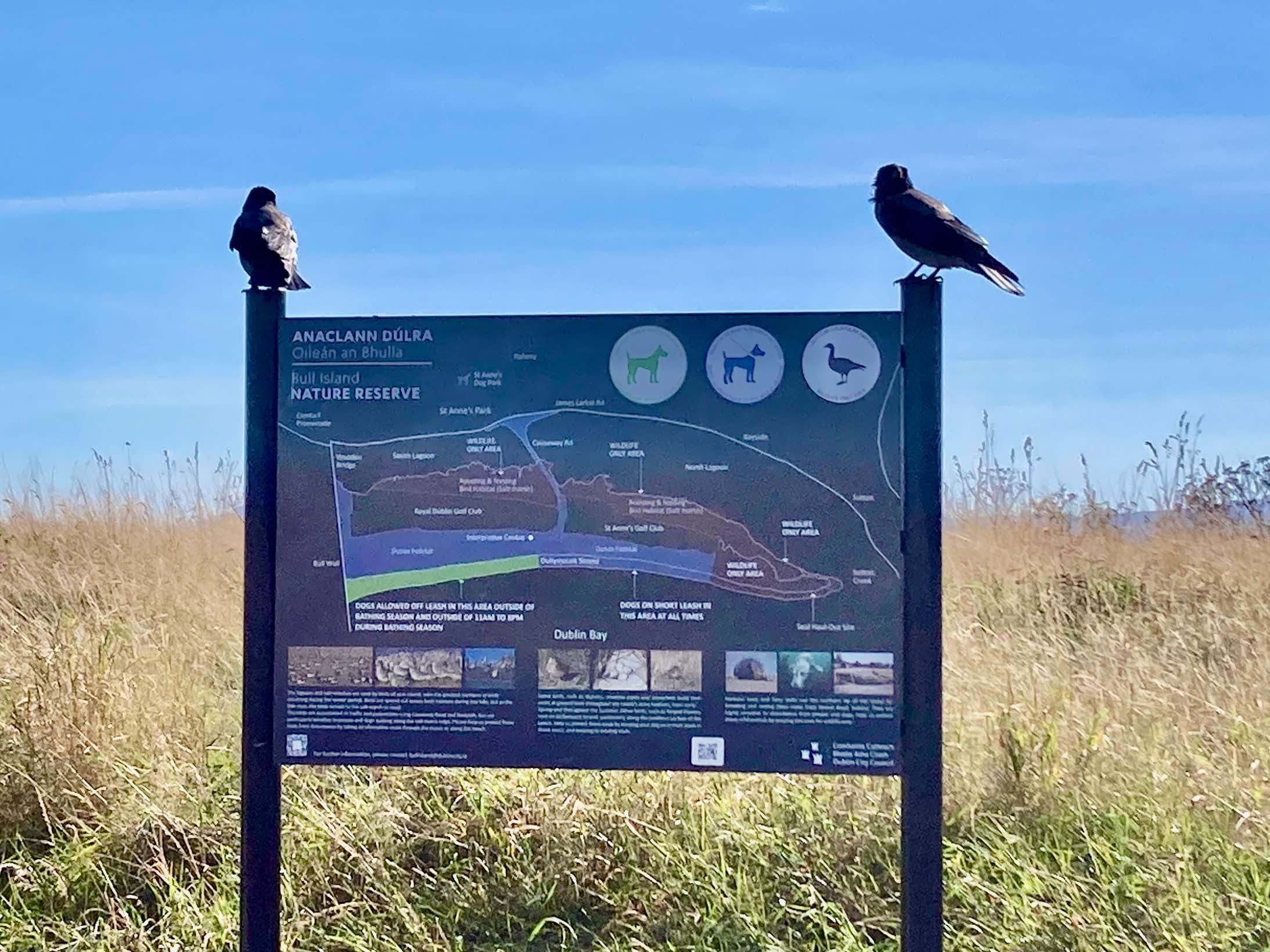 Bull Island Nature Reserve