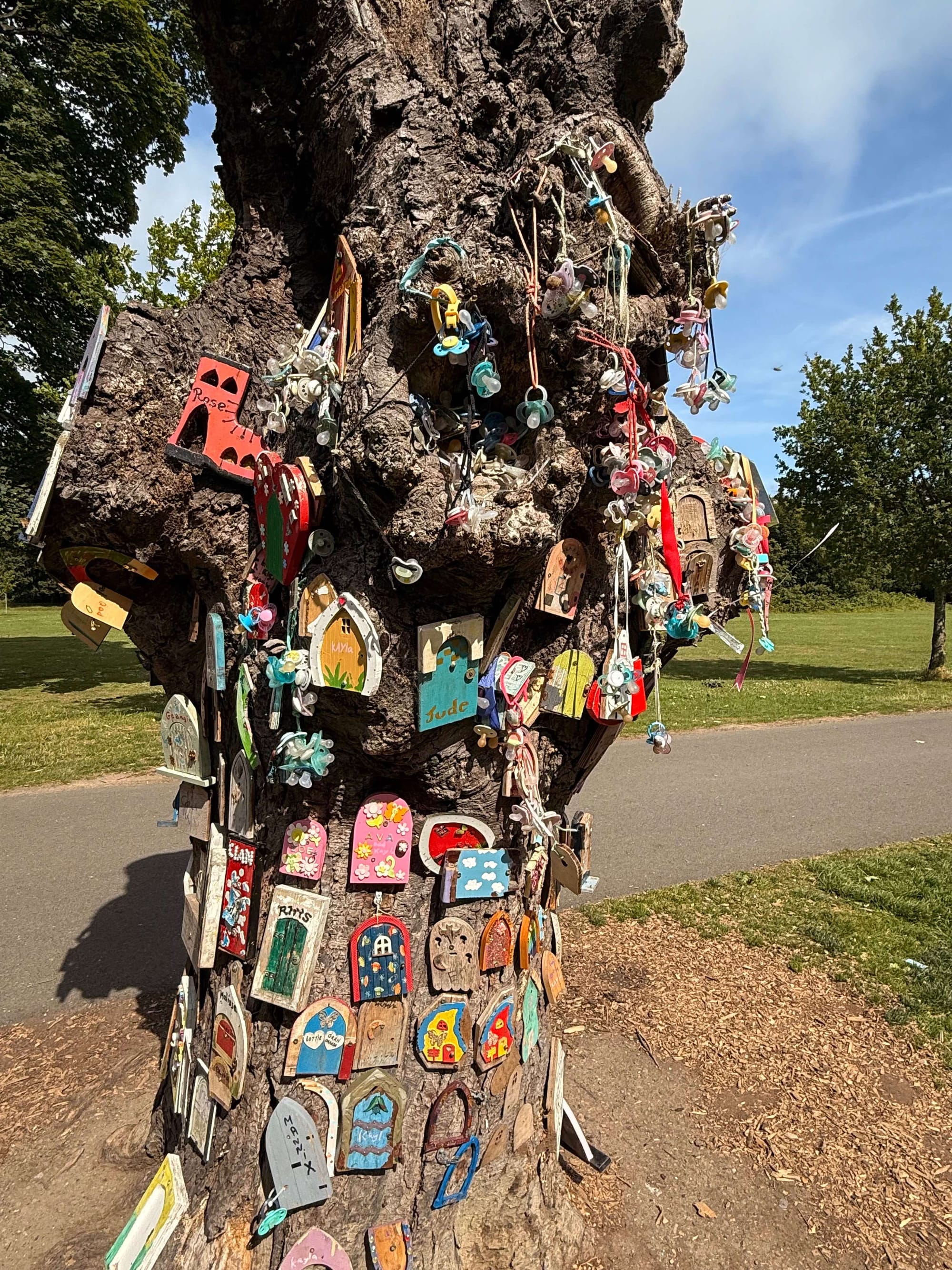 St Anne's Park Dublin Fairy Tree