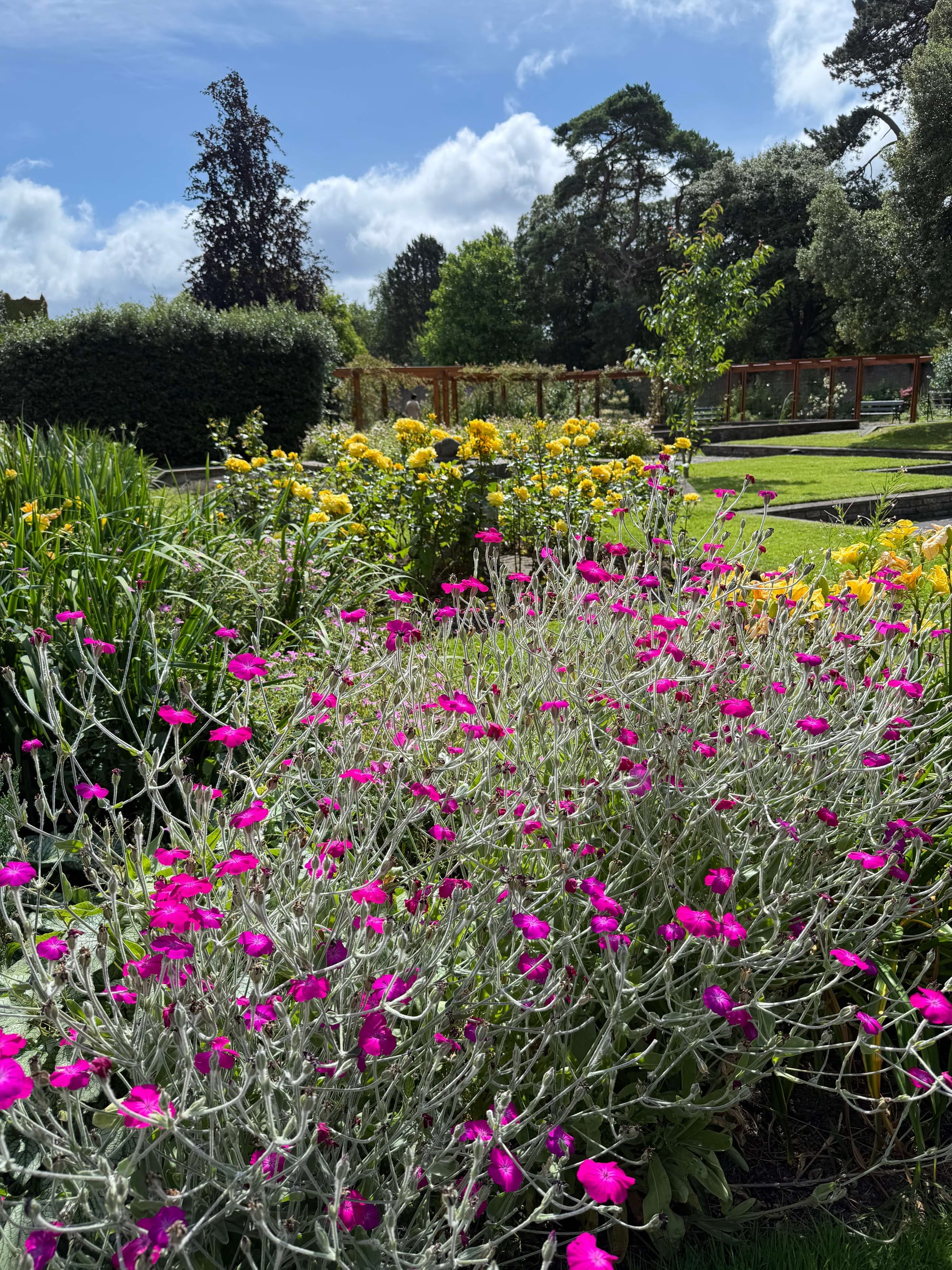 St Anne's Park Dublin Rose Garden
