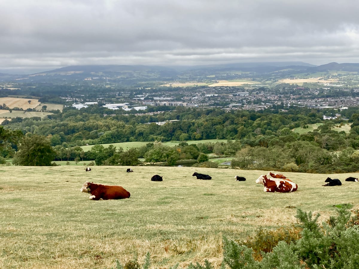 The Better Way To See Ireland