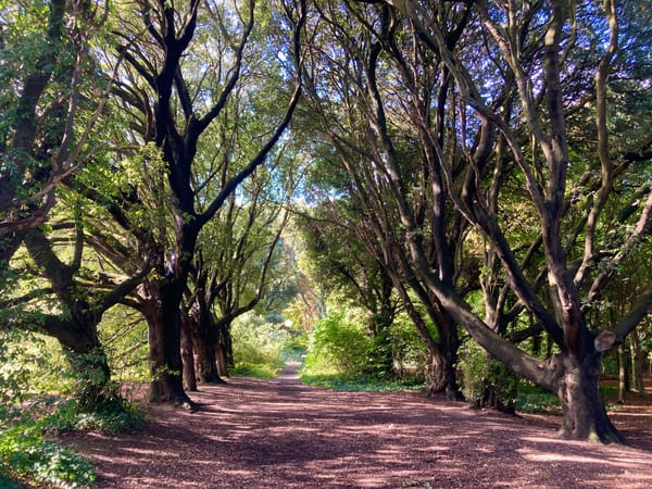 Guinness Family Park & Dublin Bay Beach Tour