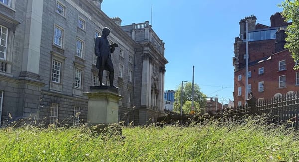 What to Do in Dublin by a Dublin Tour Guide