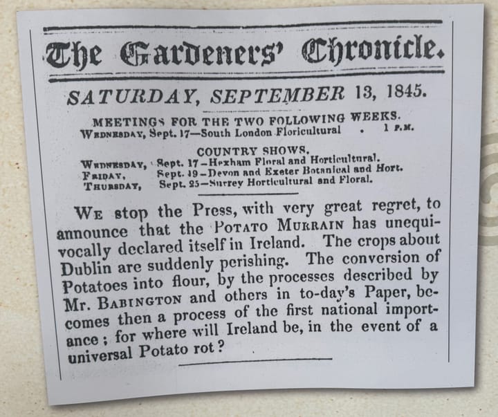 Review: The Irish Famine Exhibition Dublin