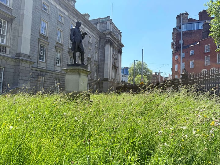 A Walk from Trinity College to Guinness Storehouse in Dublin